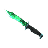 weapon skin